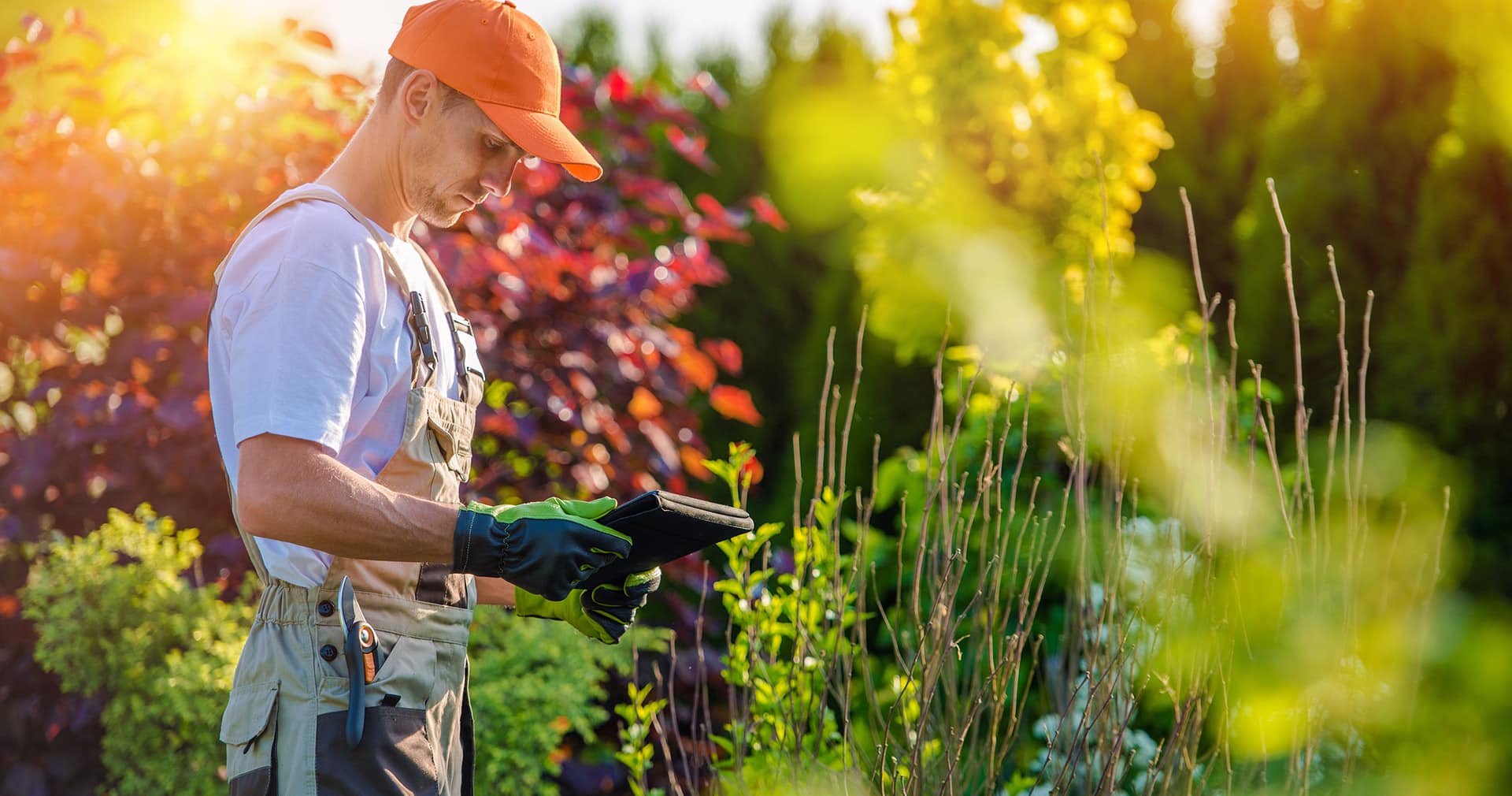 Lawn care pro using tablet to create estimate